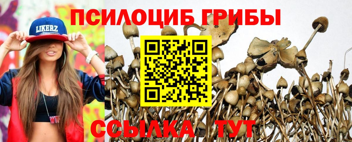 Галлюциногенные грибы мицелий Вязьма