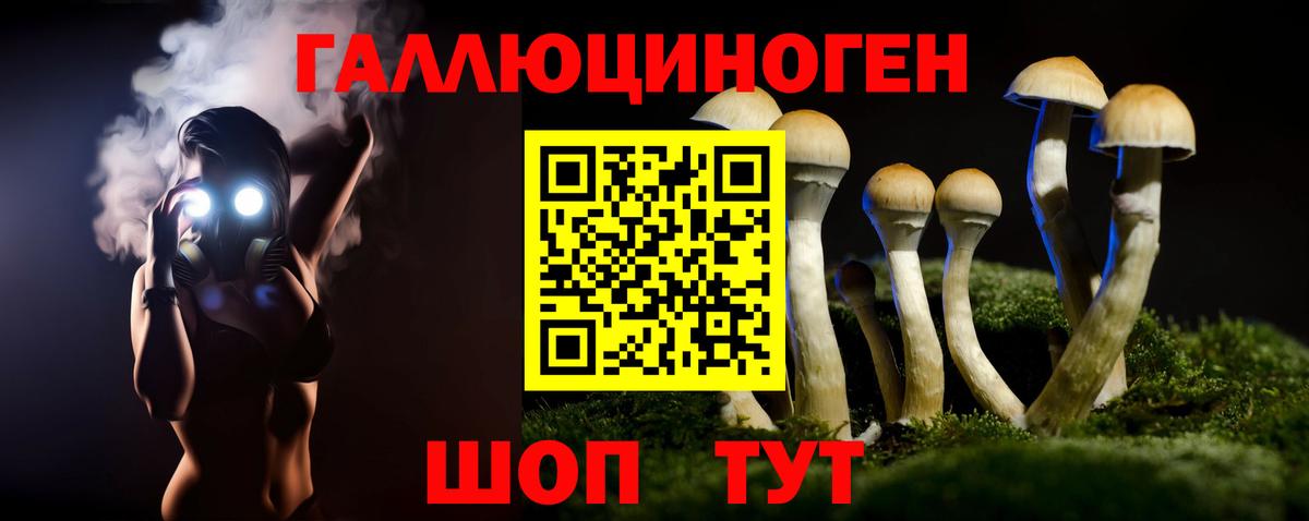 Галлюциногенные грибы Psilocybine cubensis  Псилоцибиновые грибы прущие грибы  Вход с VPN  Вязьма 